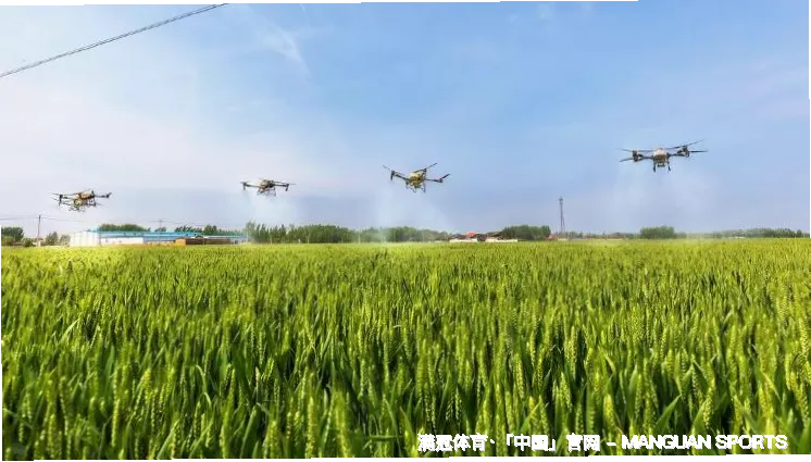 公司概况